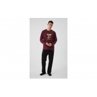 ΠΙΤΖΑΜΑ MINERVA 71473 L L ( LARGE ) ΜΕΓΕΘΟΣ ΠΥΤΖΑΜΑ ΑΝΤΡΙΚΗ
