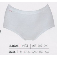 ΚΥΛΟΤΑΚΙ MIDI  MINERVA 83605 MINERVA ΚΥΛΟΤΑΚΙΑ